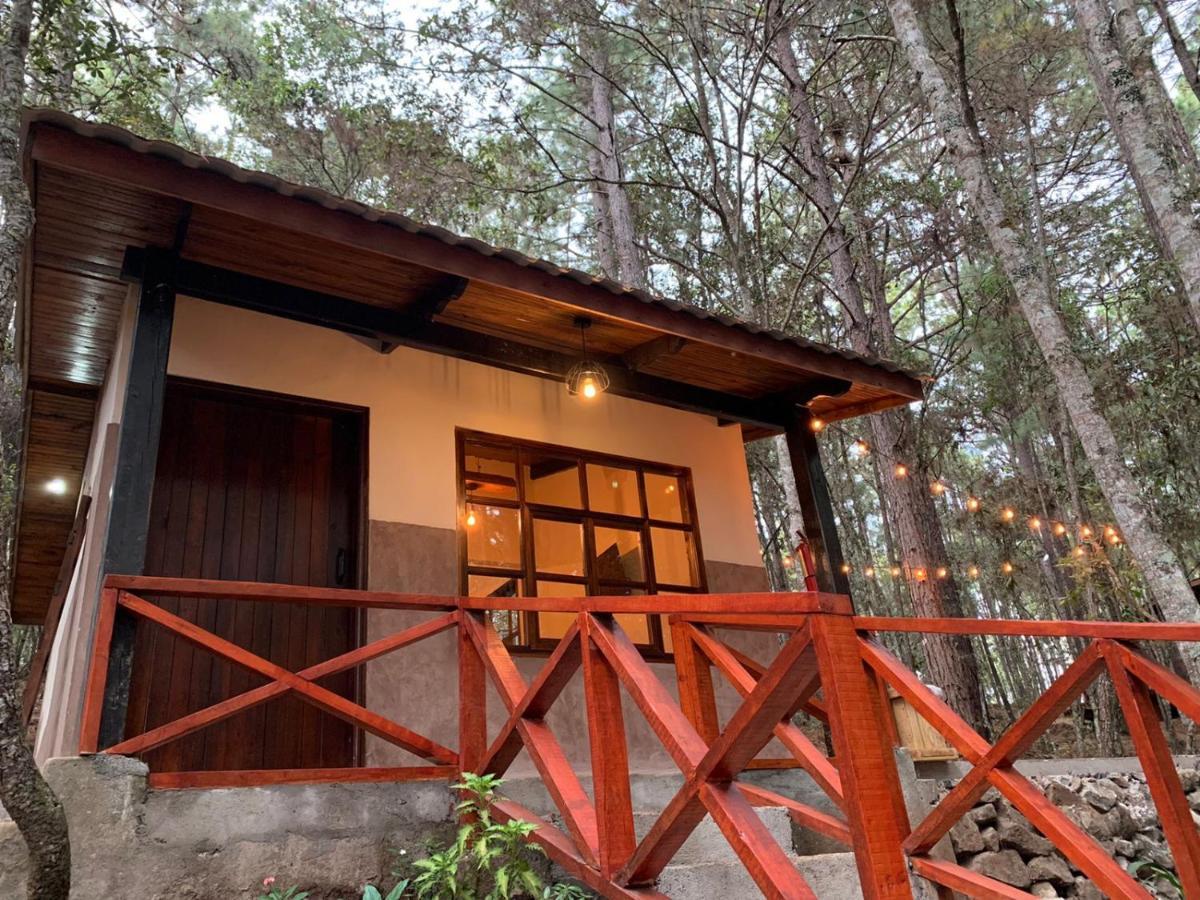 Cotan Ecolodge La Esperanza Bagian luar foto