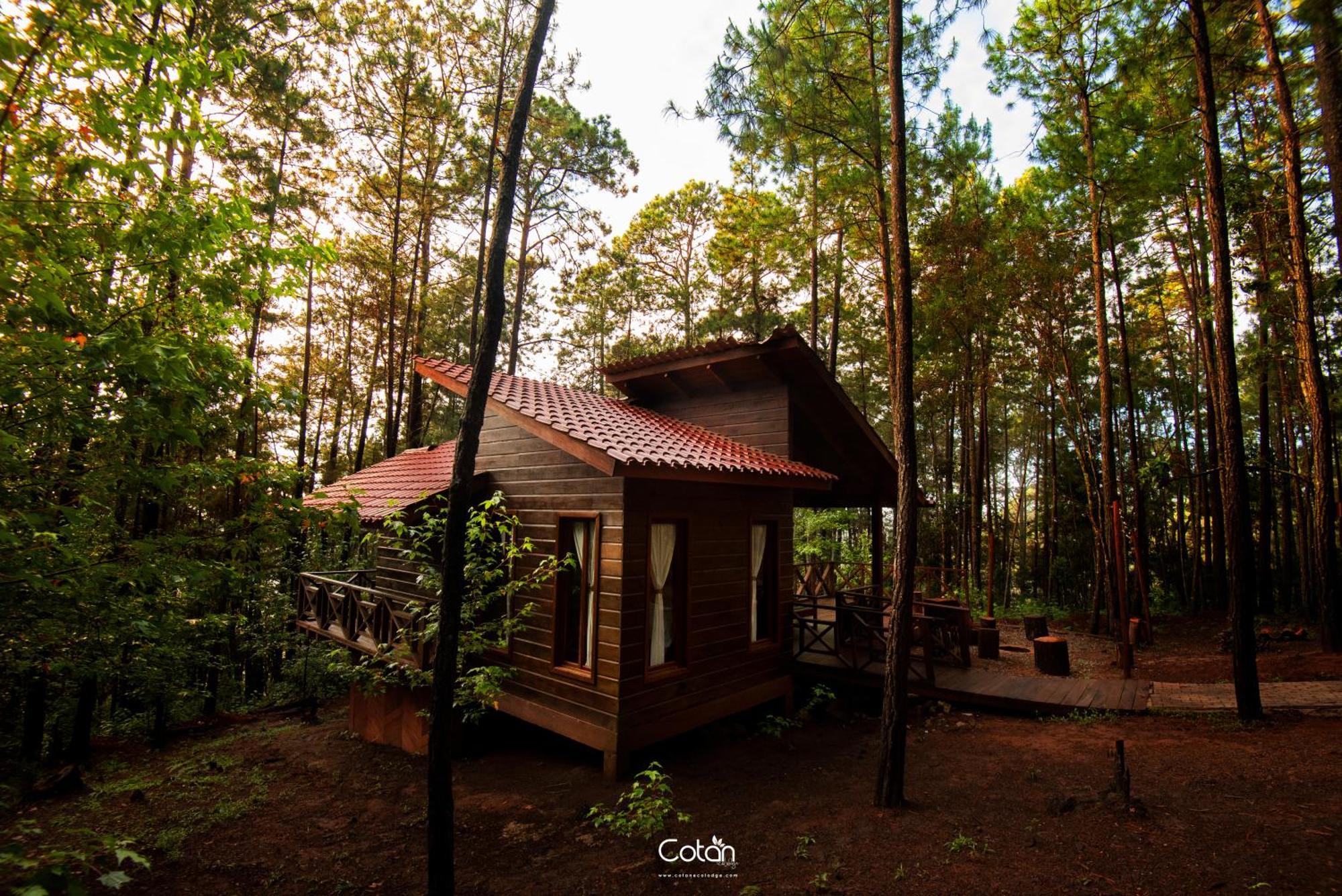 Cotan Ecolodge La Esperanza Bagian luar foto