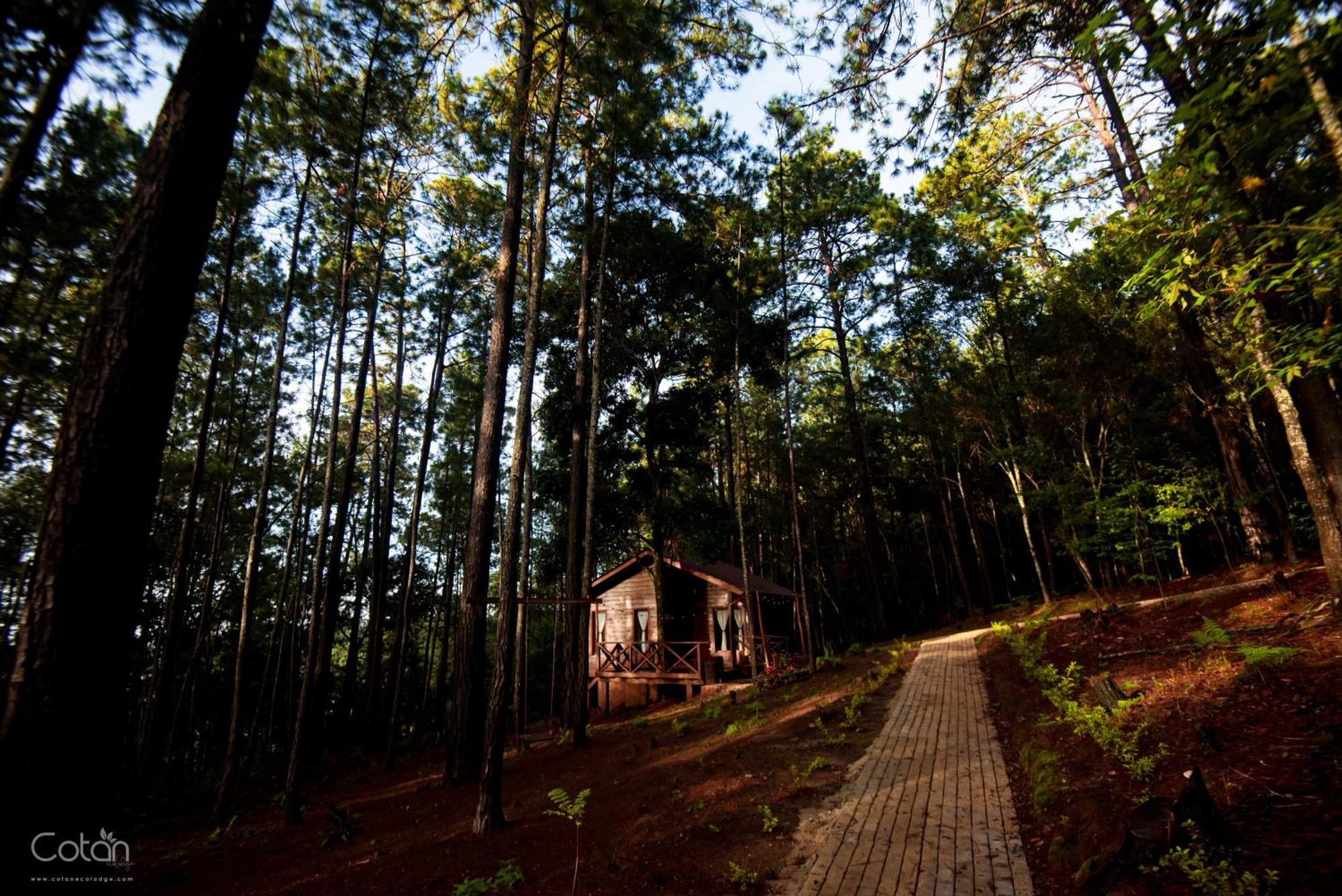 Cotan Ecolodge La Esperanza Bagian luar foto